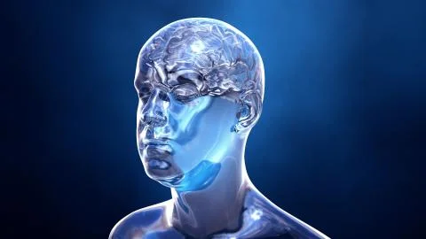 Brain in the human body イラスト素材