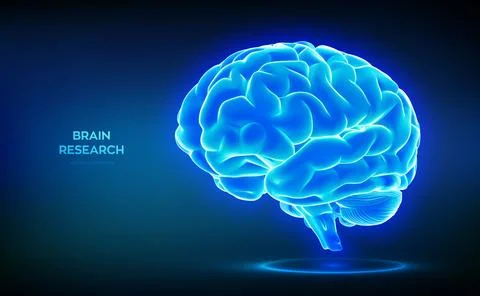 Brain. Human brain. Digital brain. Brain research medical science technolog.. Stock Illustration