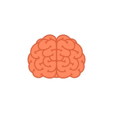 Brain. Human brain icon on white background. Stock Illustration
