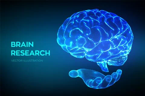 Brain. Human brain research. 3D Science and Technology concept. Neural networ Stock Illustration