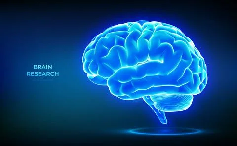 Brain. Human brain side view. Digital brain. Brain research medical science.. イラスト素材