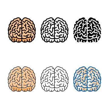 Brain human color icon vector designs Stock Illustration