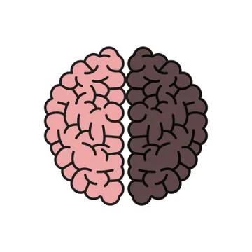 Brain human hemispheres think knowledge shadow Stock Illustration