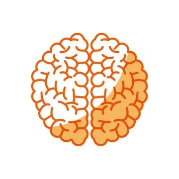 Brain human intellect mental knowledge Stock Illustration