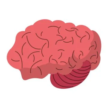 Brain human process idea Stock Illustration