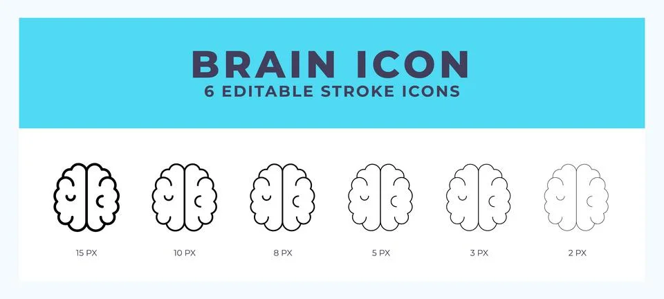 Brain icon with different stroke. Vector illustration. Stock Illustration
