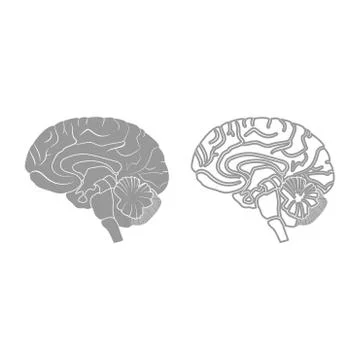 Brain icon. Grey set . Stock Illustration