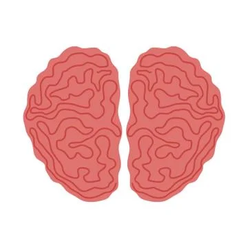 Brain icon. Thinking  design. Vector graphic Stock Illustration