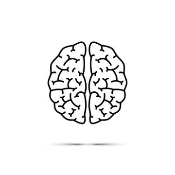 Brain icon. Vector black line brain symbol isolated on white background. Stock Illustration