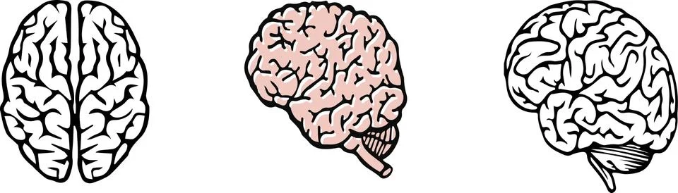 Brain icon on white background Stock Illustration