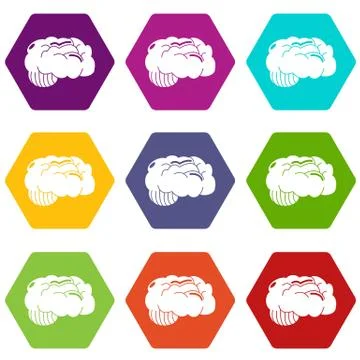 Brain icons set 9 vector Stock Illustration