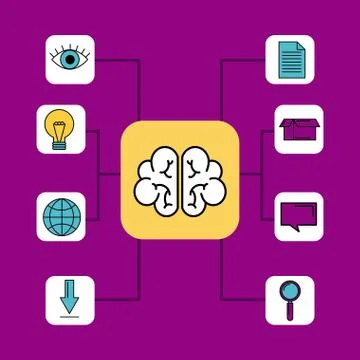 Brain idea knowledge think diagram organization Stock Illustration