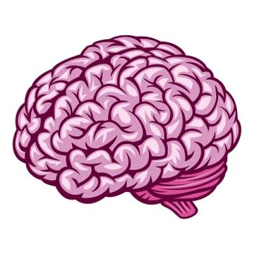 Brain Stock Illustration