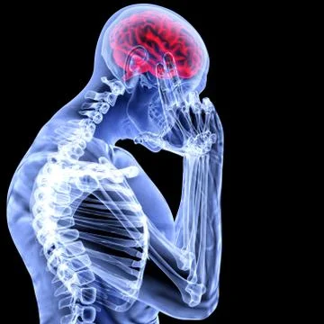 Brain Stock-Illustration