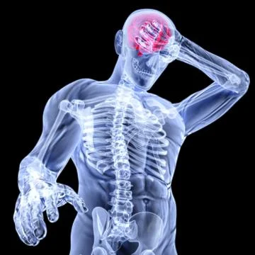 Brain Stock Illustration