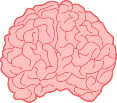 Brain Stock Illustration