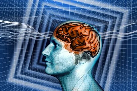 Brain Stock Illustration