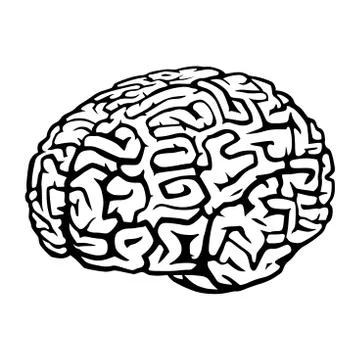Brain Stock Illustration