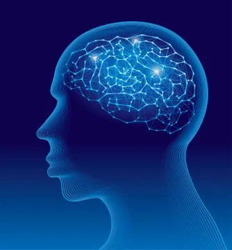 Brain 스톡 일러스트