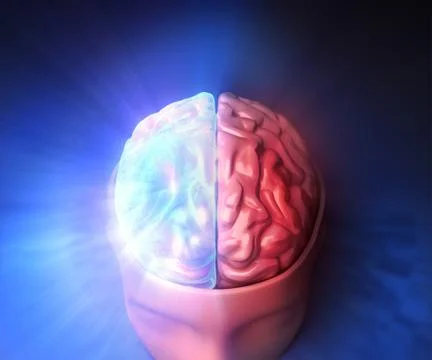 Brain Stock Illustration