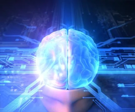 Brain Stock Illustration