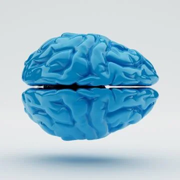 Brain Illustrazione stock