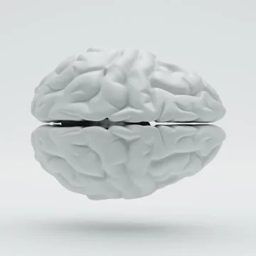 Brain Illustrazione stock