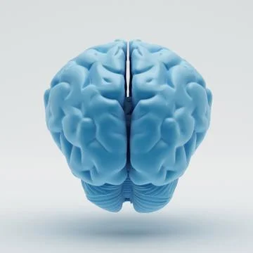 Brain イラスト素材