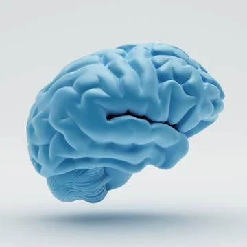 Brain Illustrazione stock