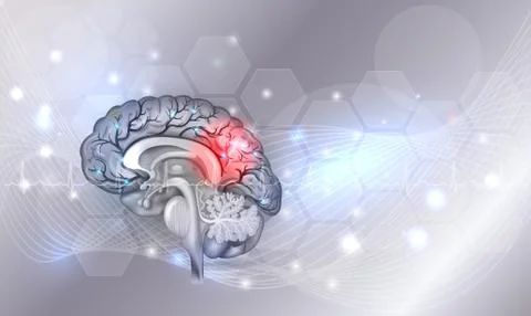 Brain Illustrazione stock