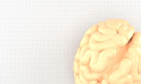 Brain Stock Illustration