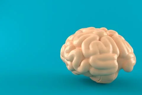 Brain Stock Illustration