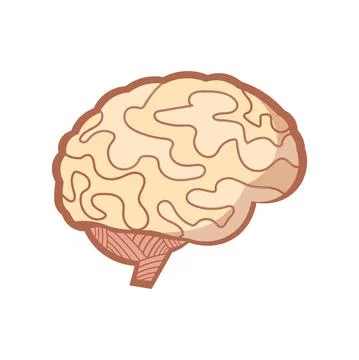 Brain illustration design element. flat icon. Stock Illustration