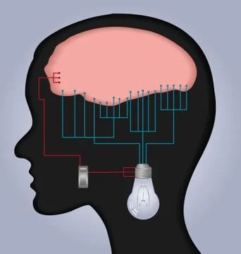 Brain illustration イラスト素材