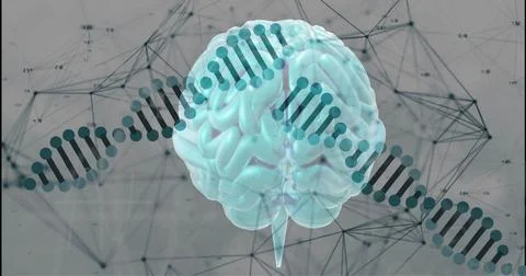 Brain image with DNA strand and network connections in background 库存插图