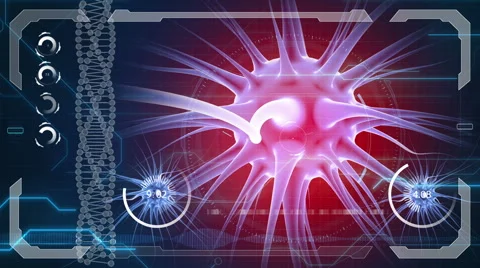 Brain impulses. Neuron system. Human anatomy. HUD background Stockbeeldmateriaal 59861416