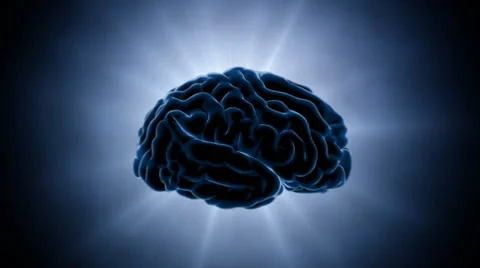 Brain impulses. Neuron system. Human anatomy.  Stock Footage 59870962