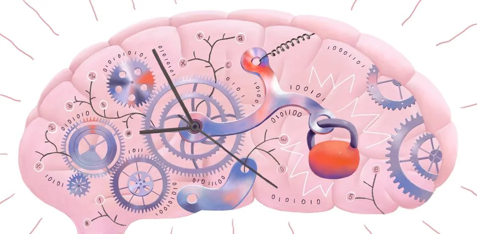 Brain incoming information delay Stock Illustration
