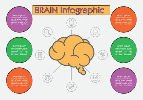 Brain Infographic Illustrazione stock