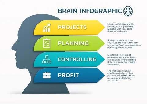 Brain infographic step modern and colorful design chart template background Stock Illustration