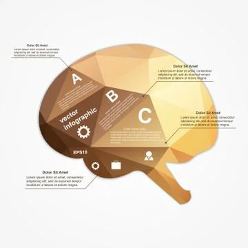 Brain infographic. Vector illustration. Stock Illustration