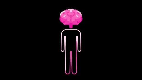 Brain Intellect Stock Footage 334343279