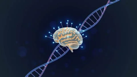 Brain Intelligence Linked with Genetic DNA Structure Stock Illustration