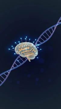 Brain Intelligence Linked with Genetic DNA Structure Illustrazione stock