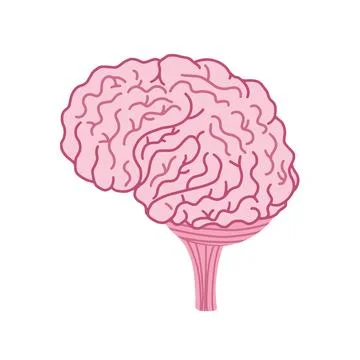 Brain isolated element in cartoon style. Human internal organ for medical prints Stock Illustration