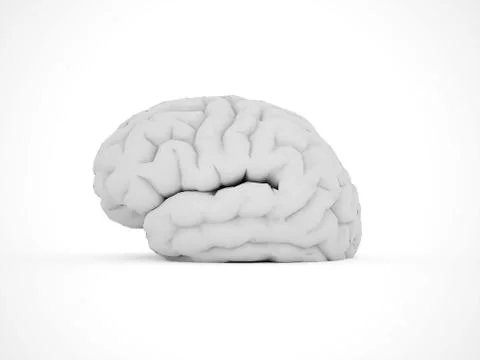 Brain isolated on white background Stock Illustration