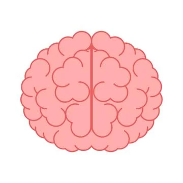 Brain isolated on white Stock Illustration