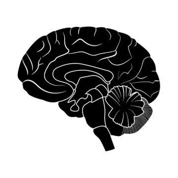Brain it is black icon . Stock Illustration