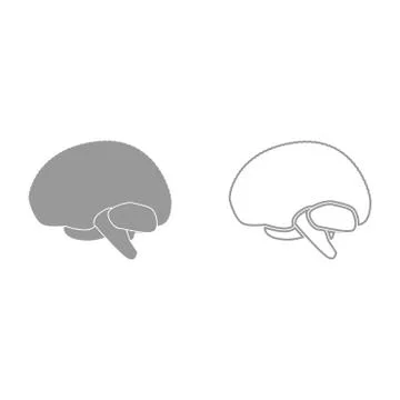 Brain it is icon . Stock Illustration