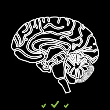 Brain it is white icon . Stock Illustration